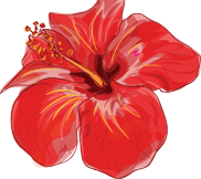 hawaii-golf_hibiscus_flower