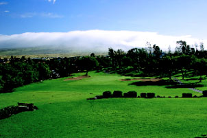 Image of Waikoloa Village Golf Club Landscape